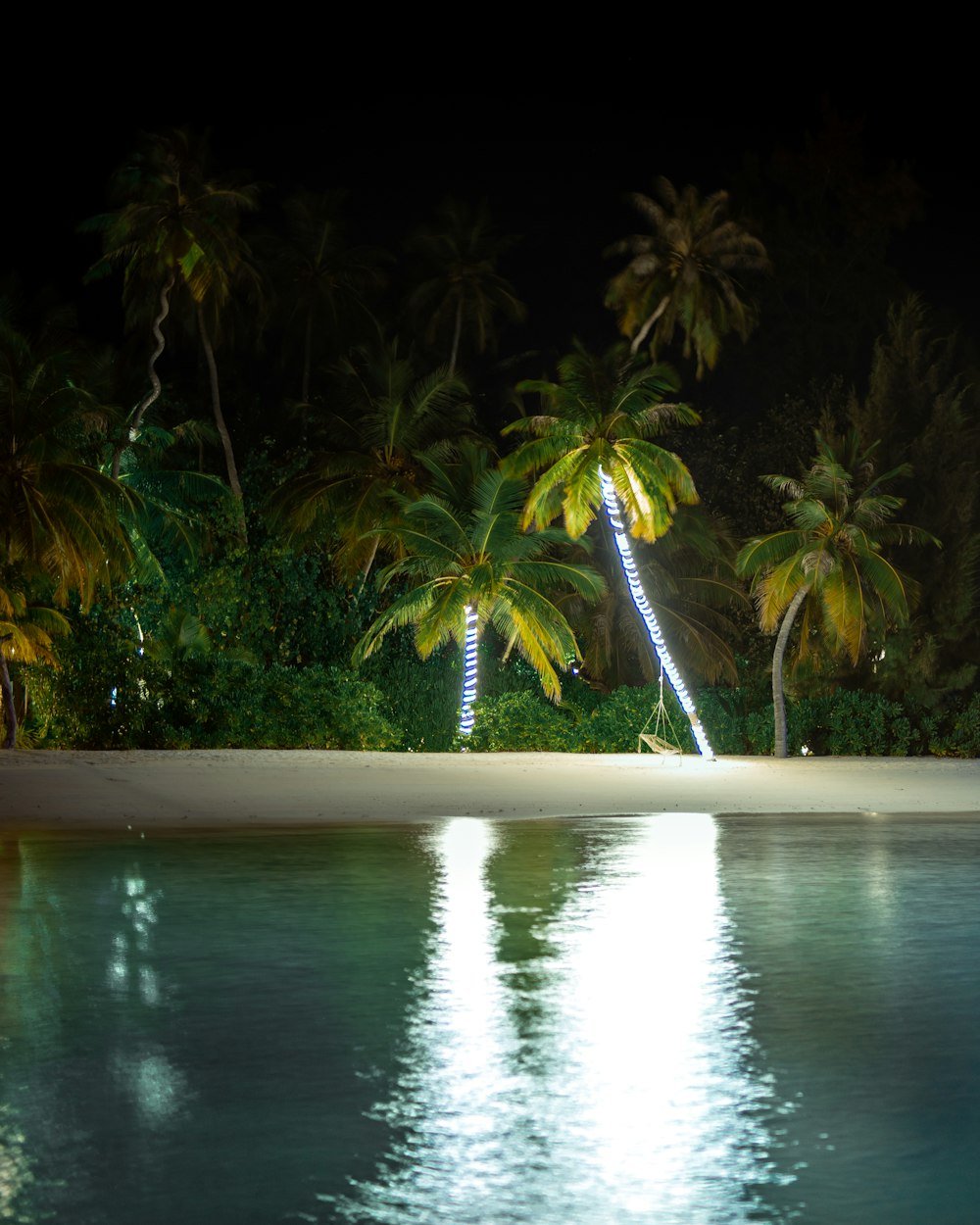 green palm tree near body of water during daytime