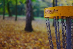 Vibrant Scarred Bark branded disc golf discs neatly stacked on a wooden display.