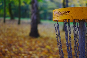 A Discatcher, a disc golf target, is in sharp focus on the right side of the image, with the blurred background of a forest area filled with trees and a ground covered in fallen leaves.