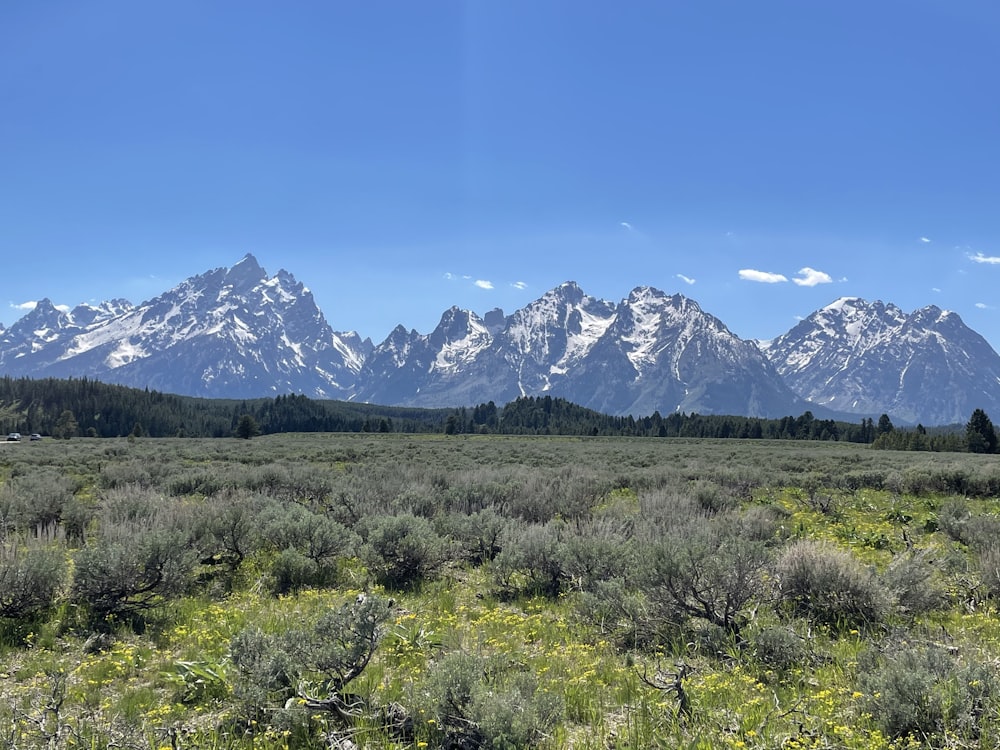 green grass field near snow covered mountain during daytime