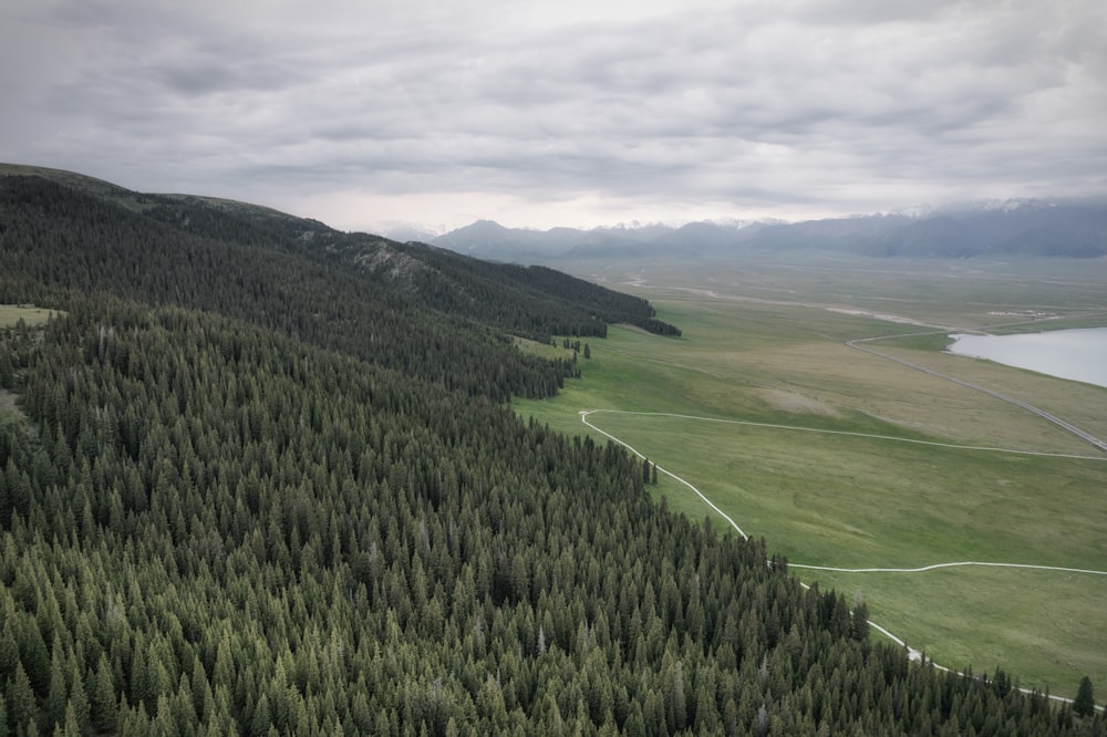 campo de hierba verde bajo el cielo nublado durante el día