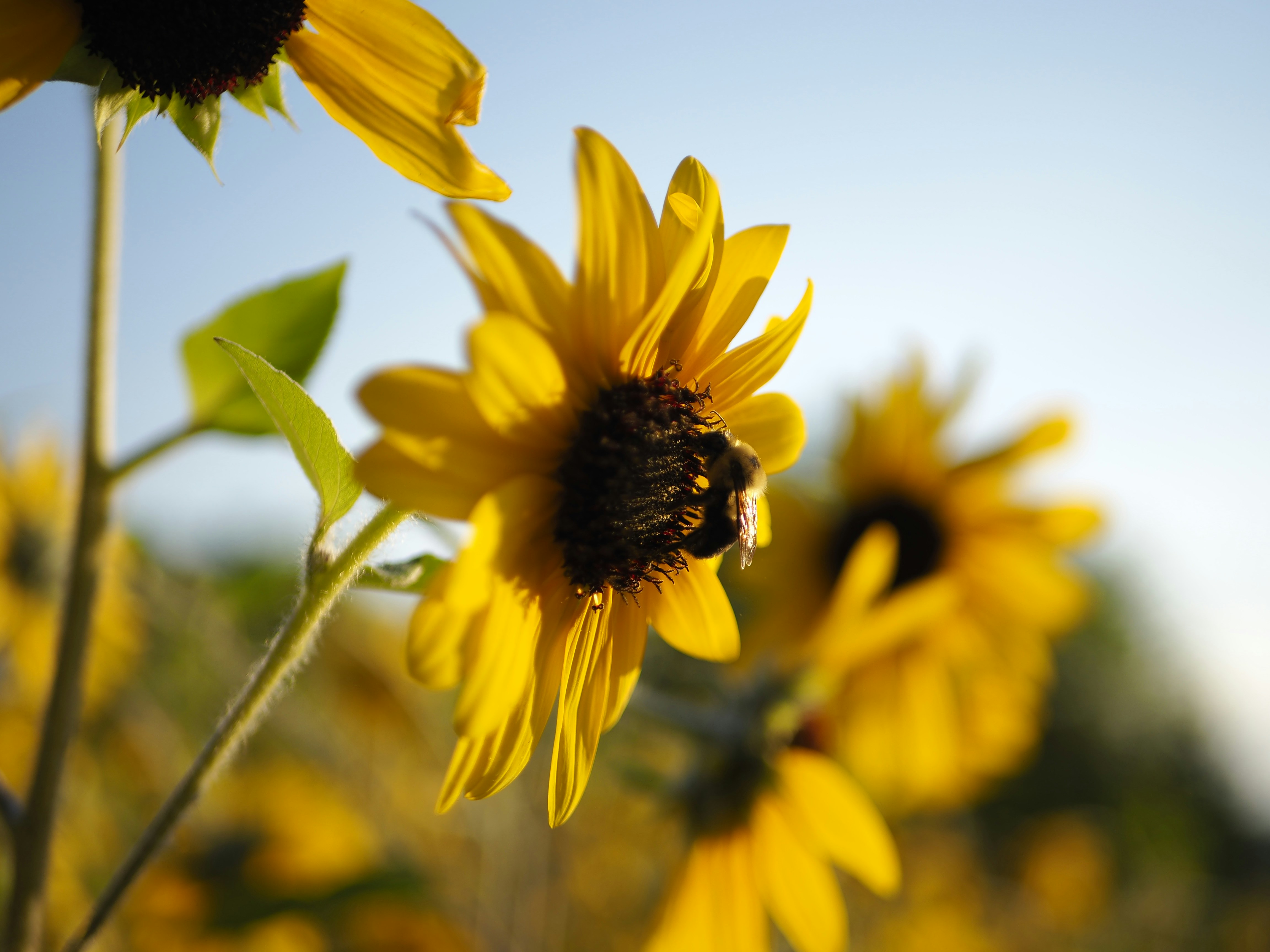 Photo by onesandzeros