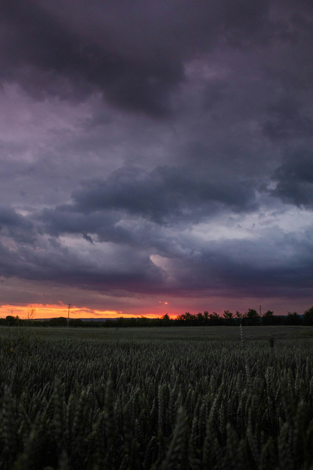 green grass field under gray clouds during sunset