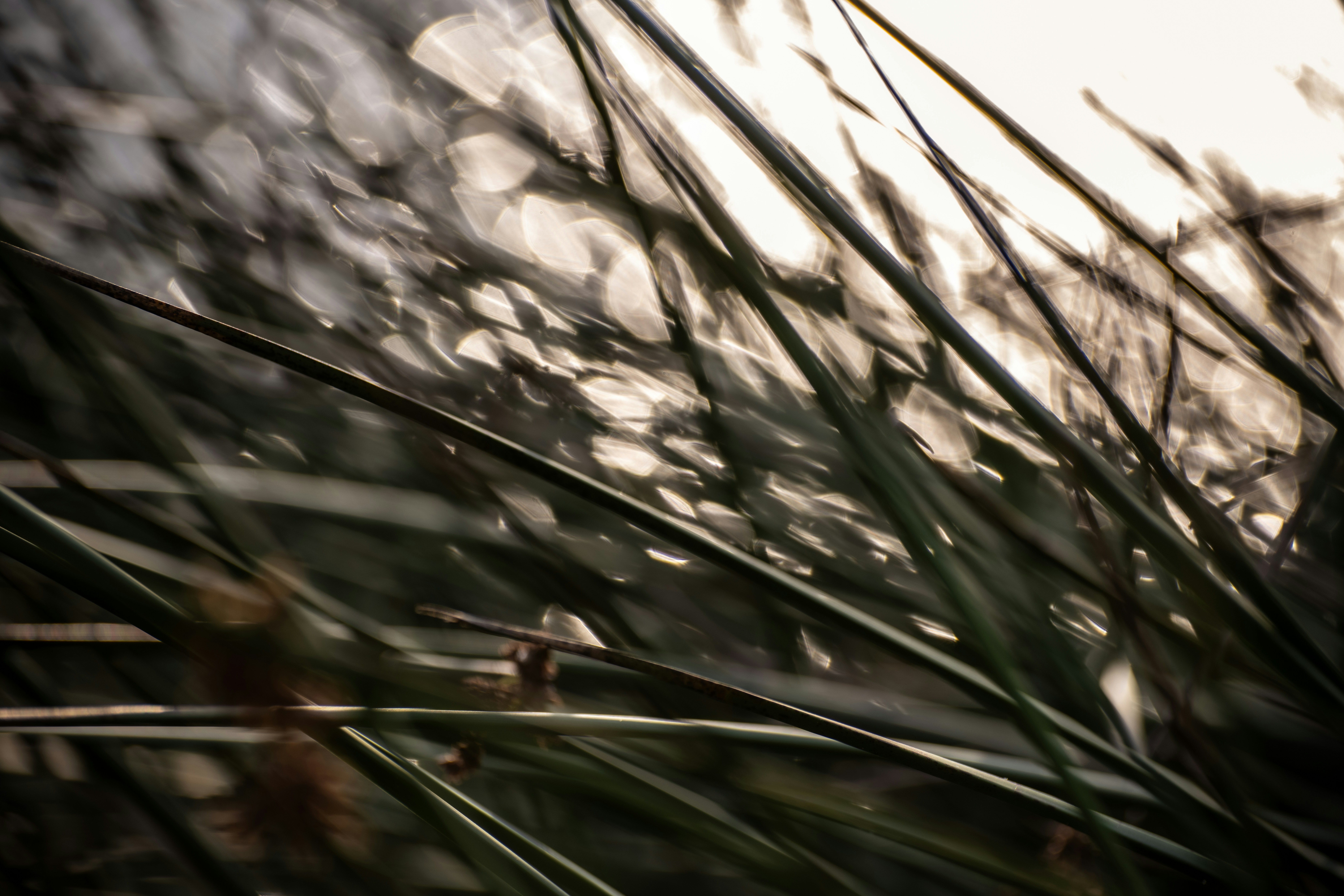 Photo by timmossholder