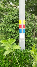 A concrete pole with colorful painted squares and rectangles in yellow, red, and blue against a lush green background of leaves and plants.