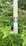 A concrete pole with colorful painted squares and rectangles in yellow, red, and blue against a lush green background of leaves and plants.