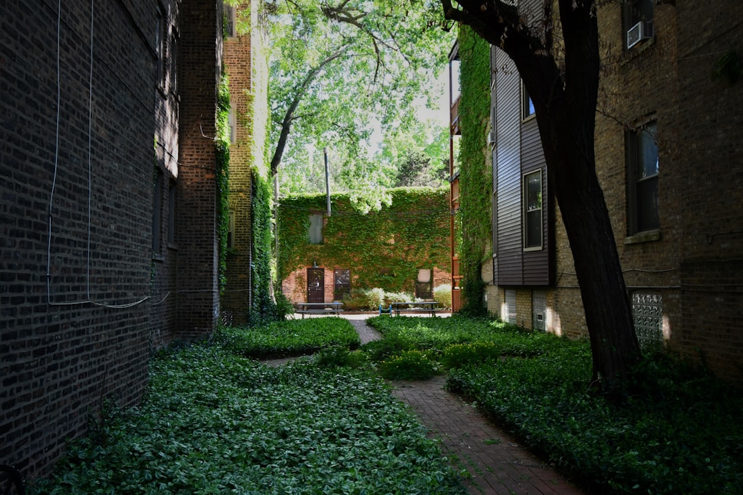 green grass field near brown brick building