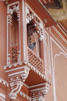 A sunny balcony fitted with a sturdy bamboo pigeon net protecting it from birds.