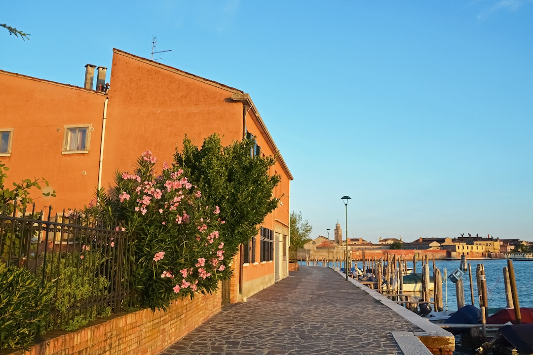 brown concrete building near green trees during daytime