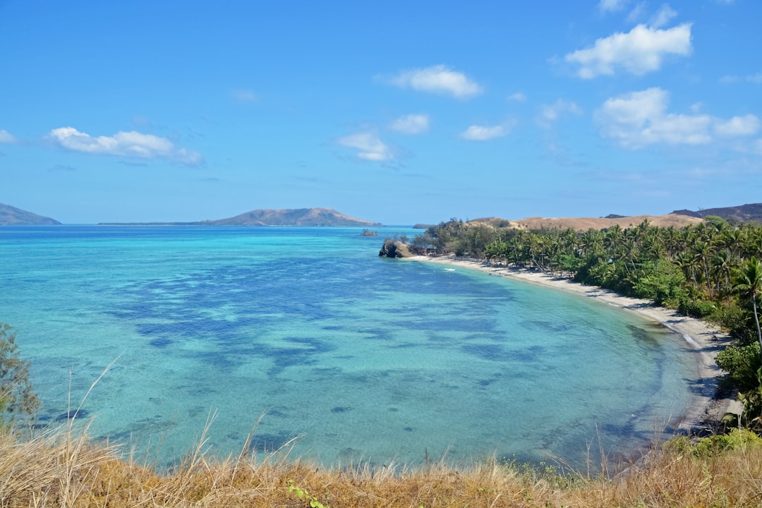 green grass field near blue sea under blue sky during daytime