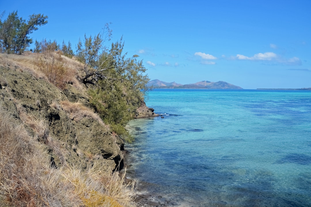 green trees on brown rocky mountain beside blue sea under blue sky during daytime