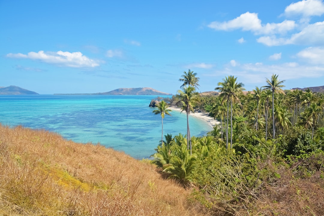 green trees near blue sea under blue sky during daytime