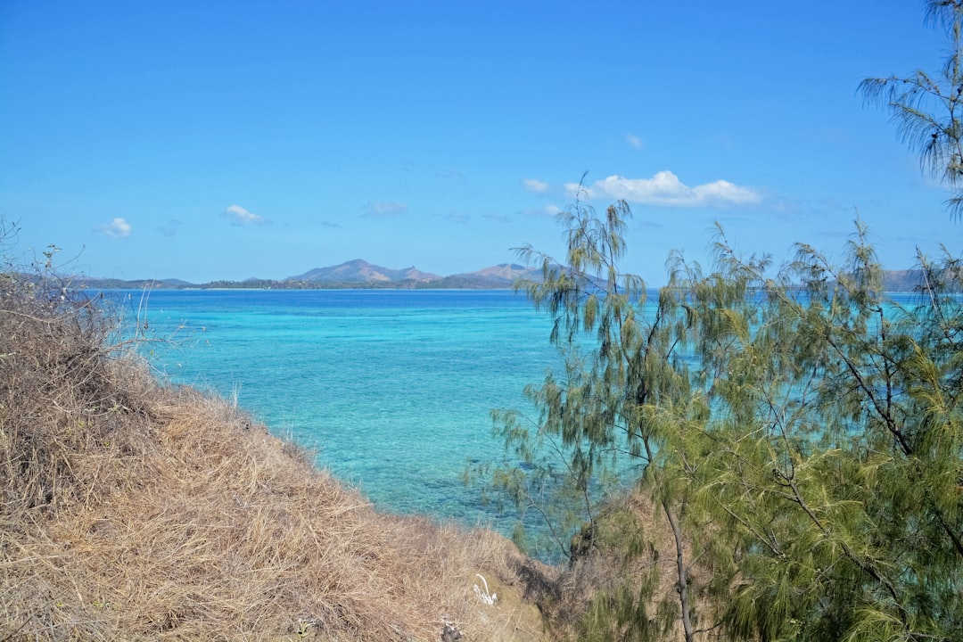 green trees near blue sea under blue sky during daytime