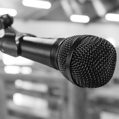 black and silver microphone on black and white photography