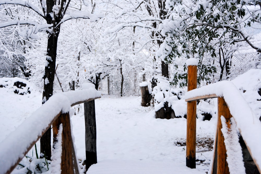 cerca de madeira marrom coberta com neve