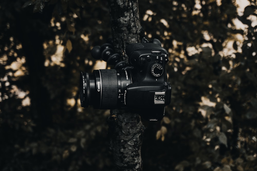 black dslr camera on brown tree trunk