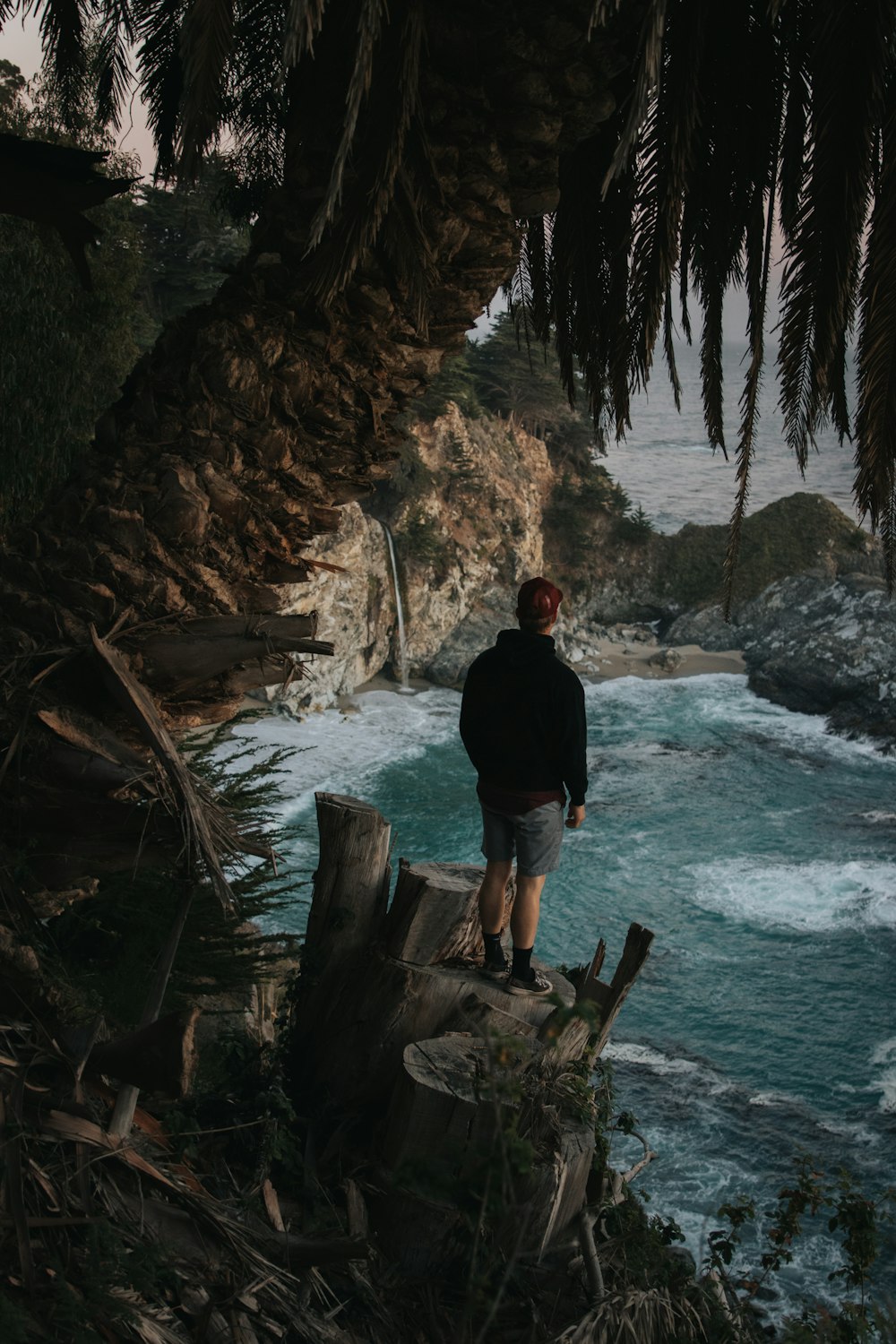 homem na jaqueta preta de pé no tronco de madeira marrom na costa do mar durante o dia