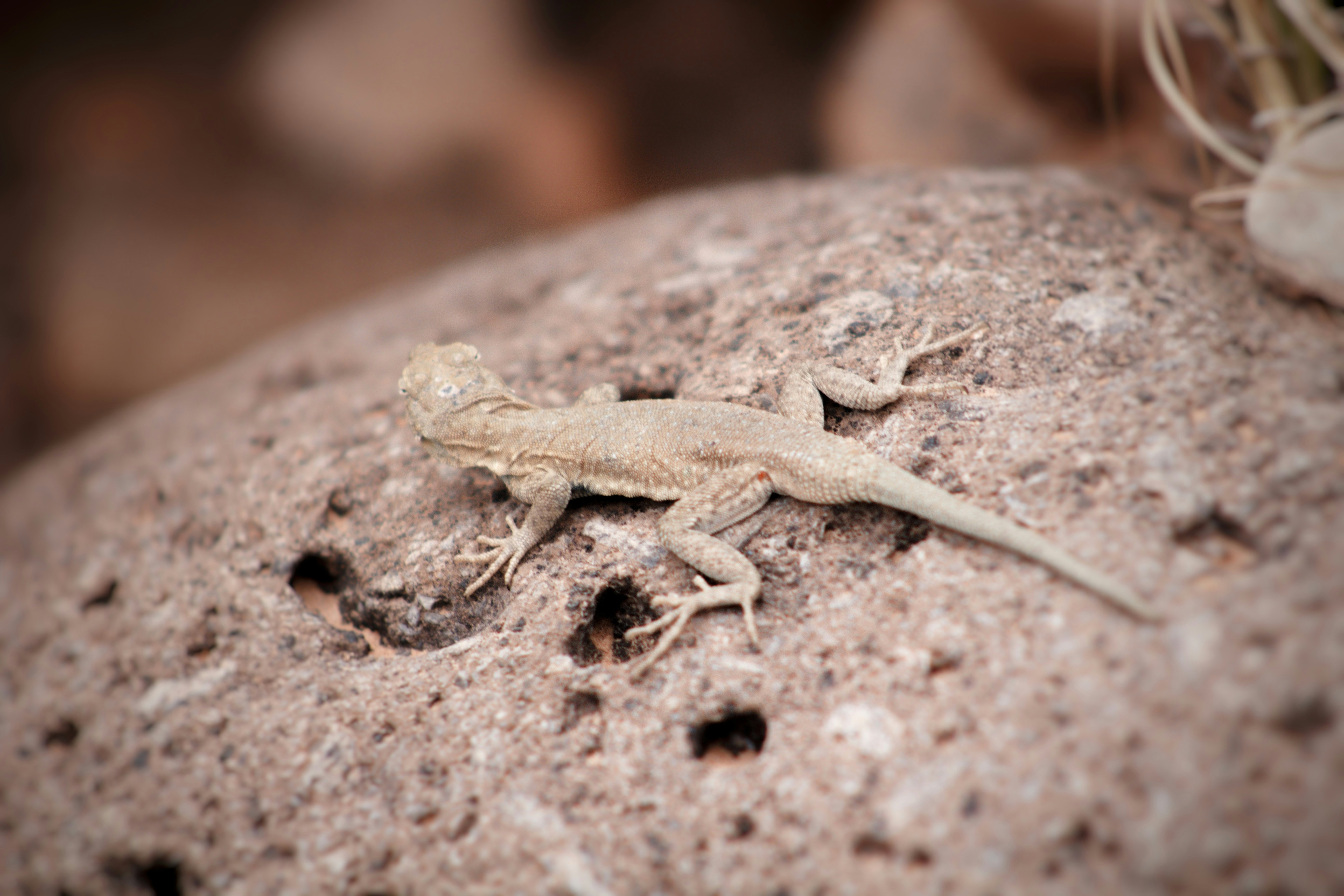 Photo by joshua_hoehne