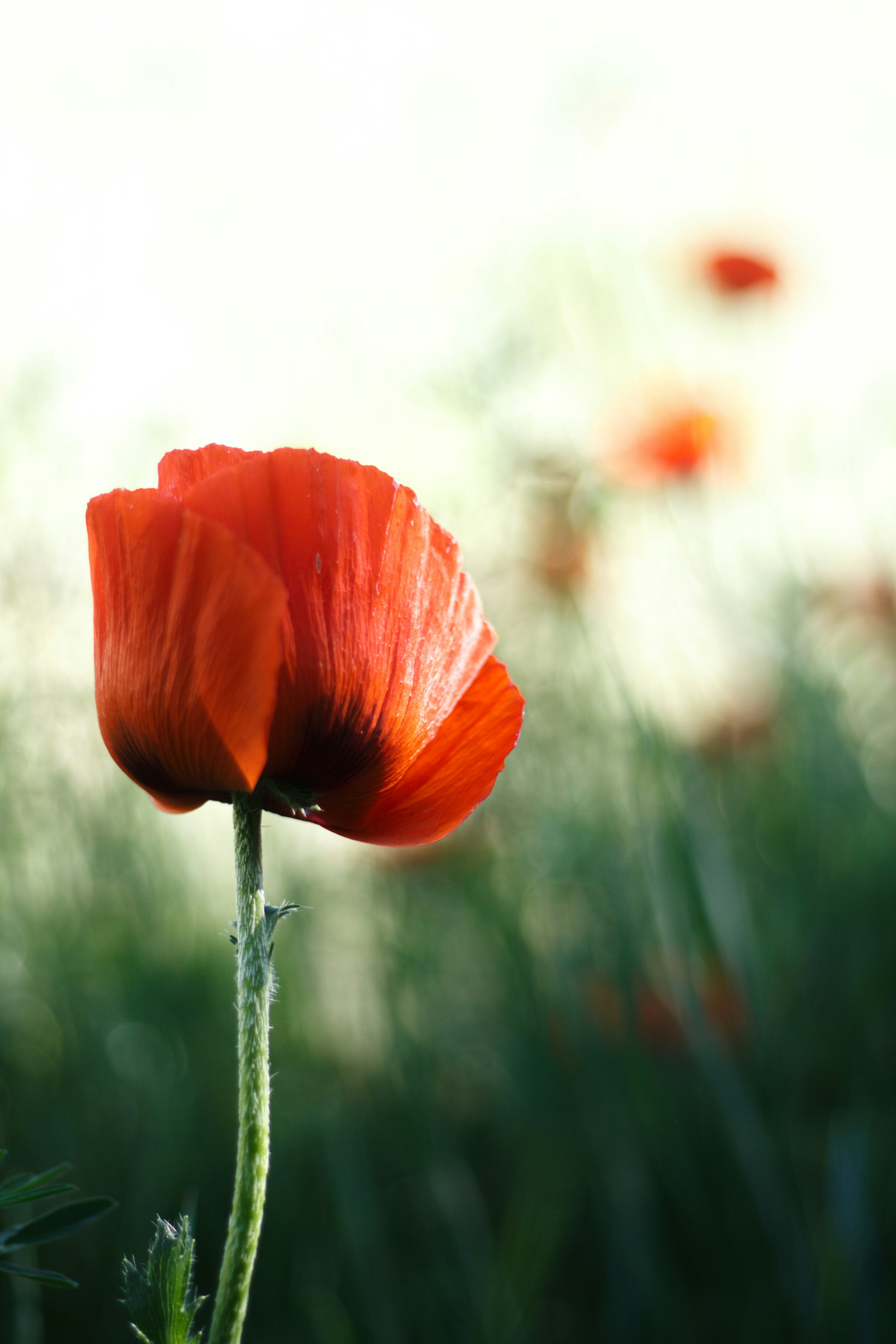 Photo by joshua_hoehne