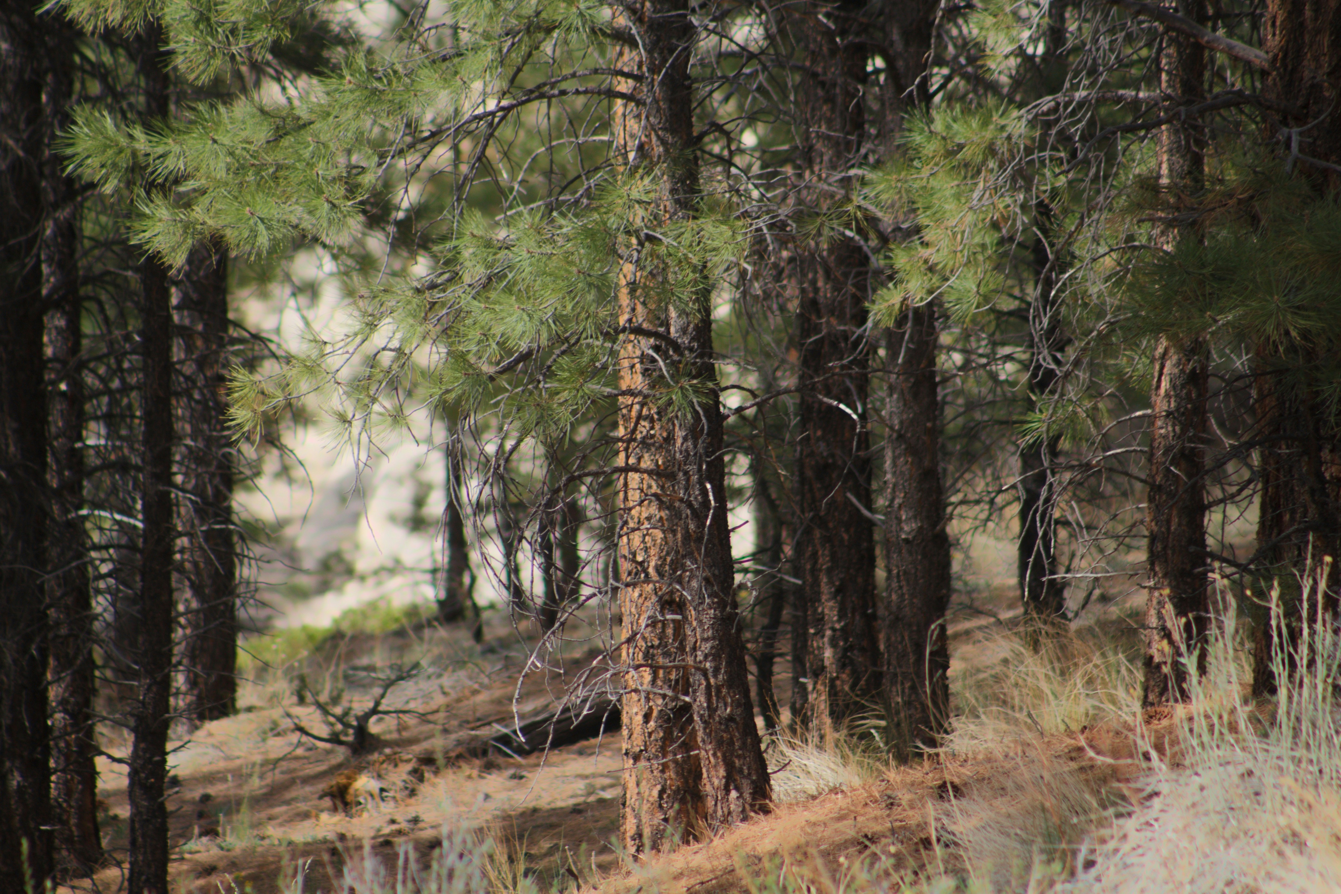 Photo by joshua_hoehne