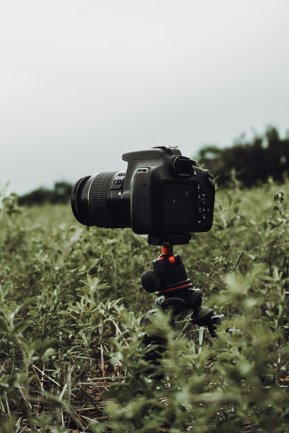 Cámara DSLR negra en trípode en campo de hierba verde durante el día