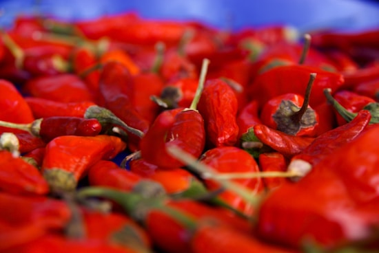 A close-up view of numerous vibrant red chili peppers, with varying sizes and shapes, scattered together. The peppers have green stems and some have a glossy texture, indicating freshness.