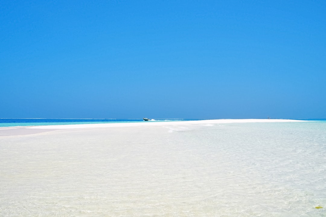 person in the beach during daytime