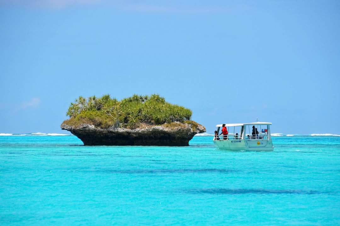 white and black boat on blue sea during daytime