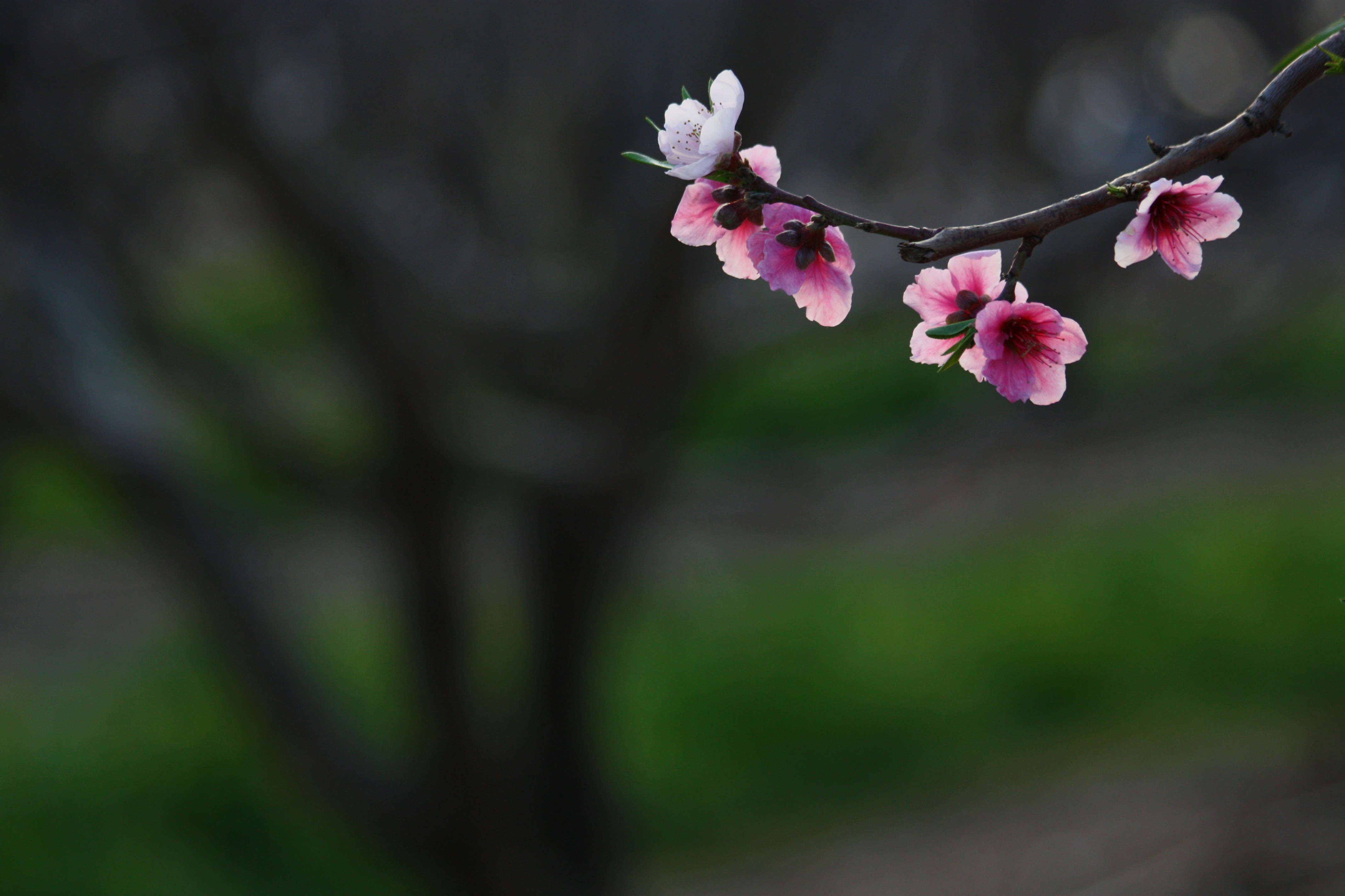 Photo by gabyfishmanfosbery