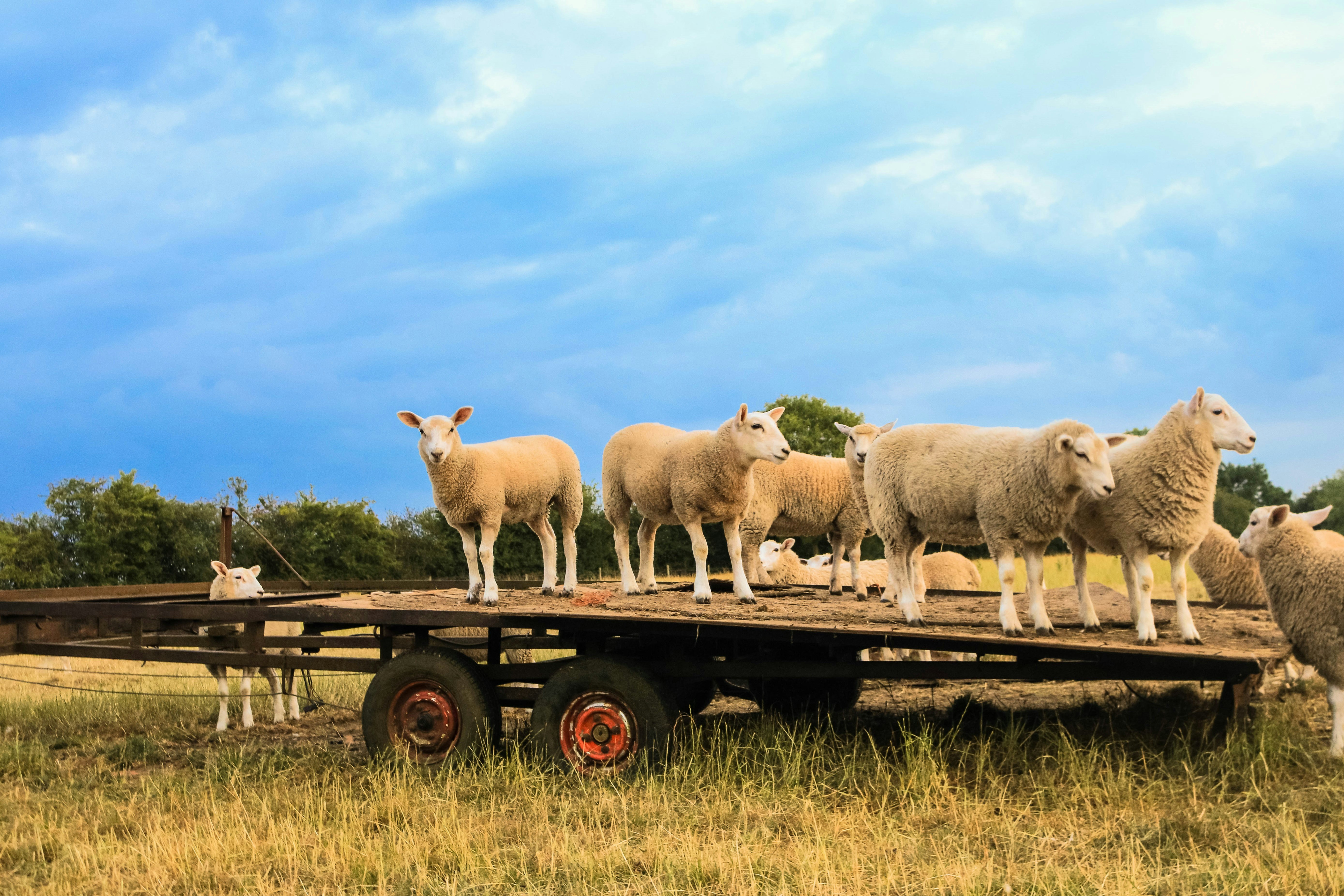 Deep Dive: Is the Higg Coming Unhinged?