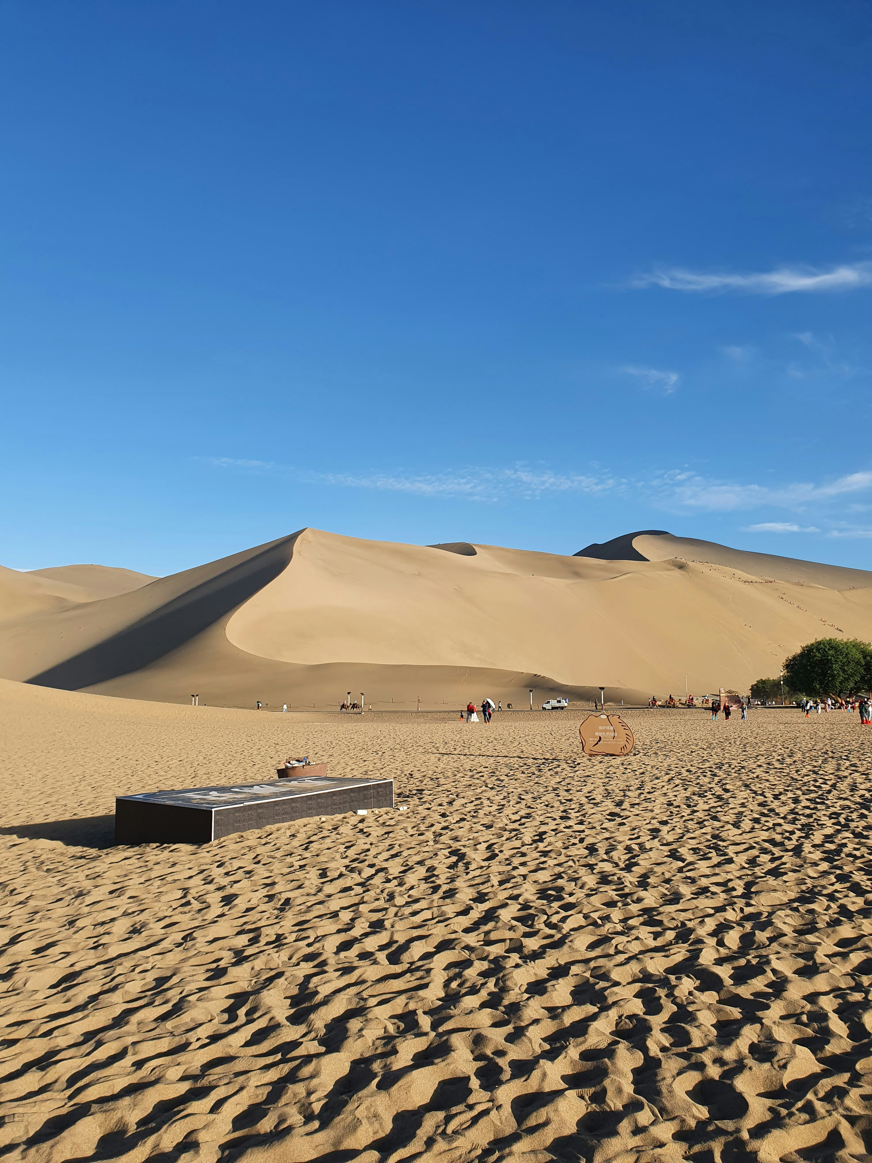 Dünyanın En Büyük Çölü: Sıcak ve Soğuk Sırların Peşinde