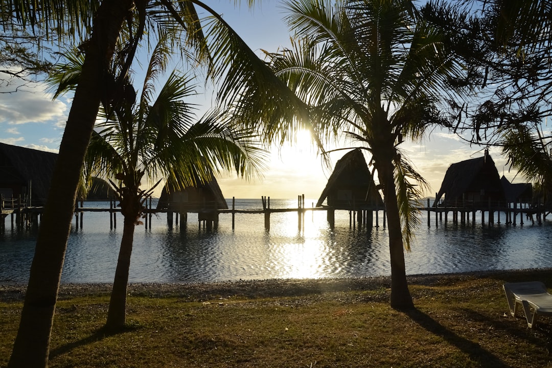 brown wooden beach house near palm trees during daytime