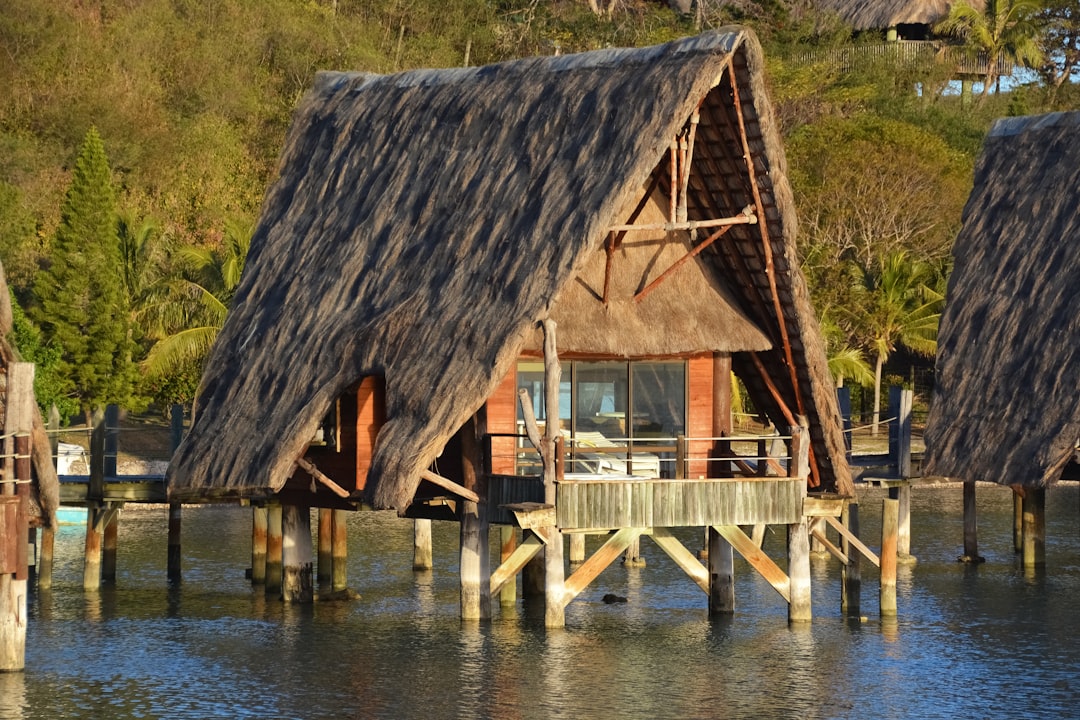 brown wooden house on body of water during daytime