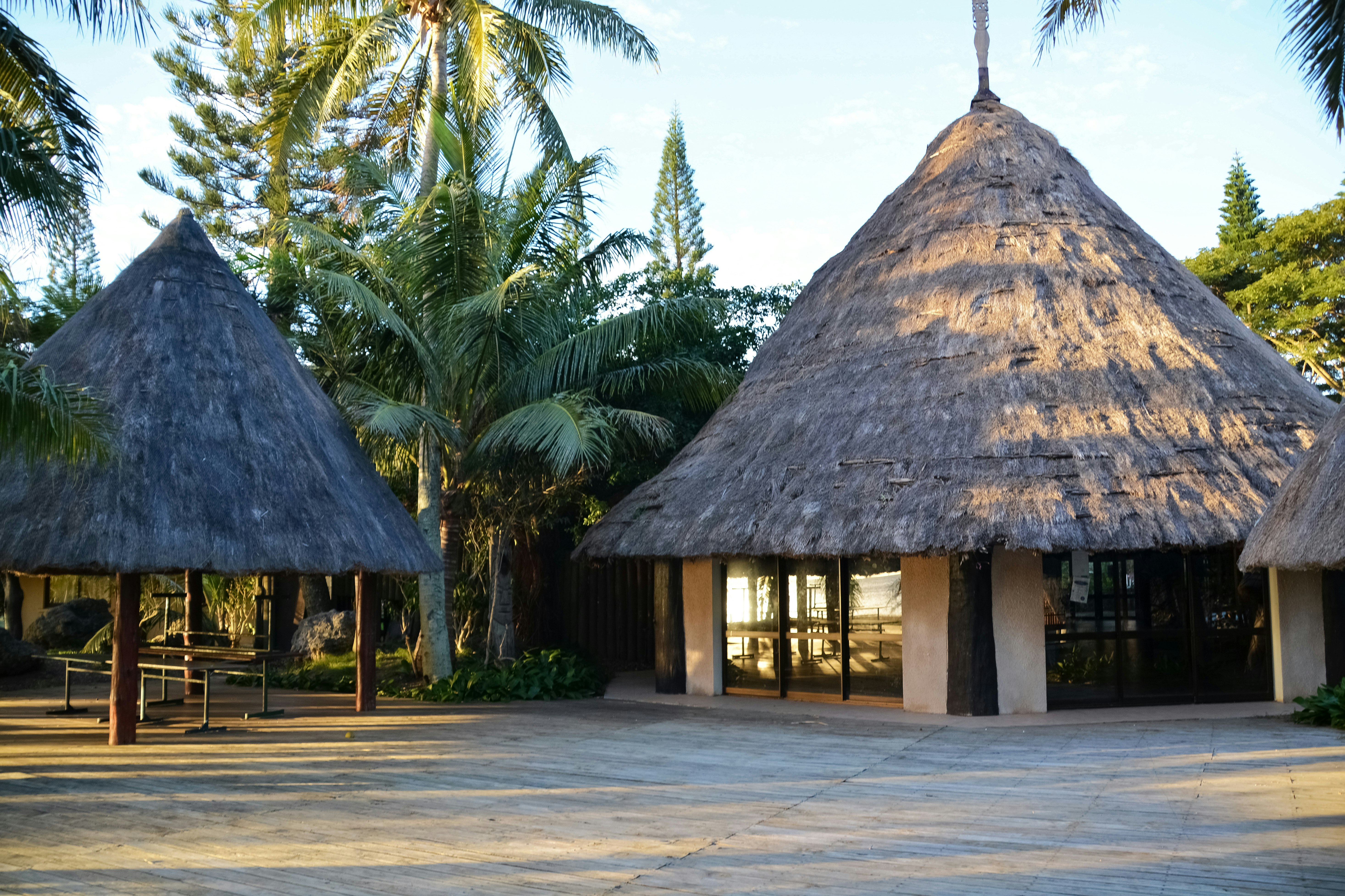 brown wooden house near palm trees during daytime