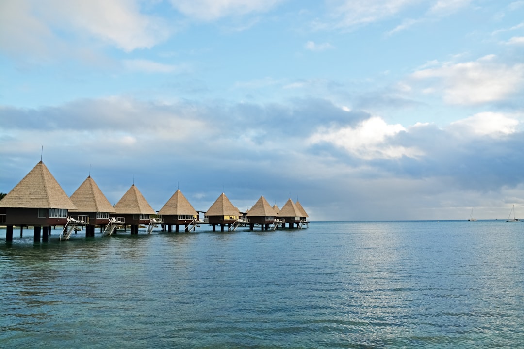 brown and white wooden house on sea under blue sky during daytime