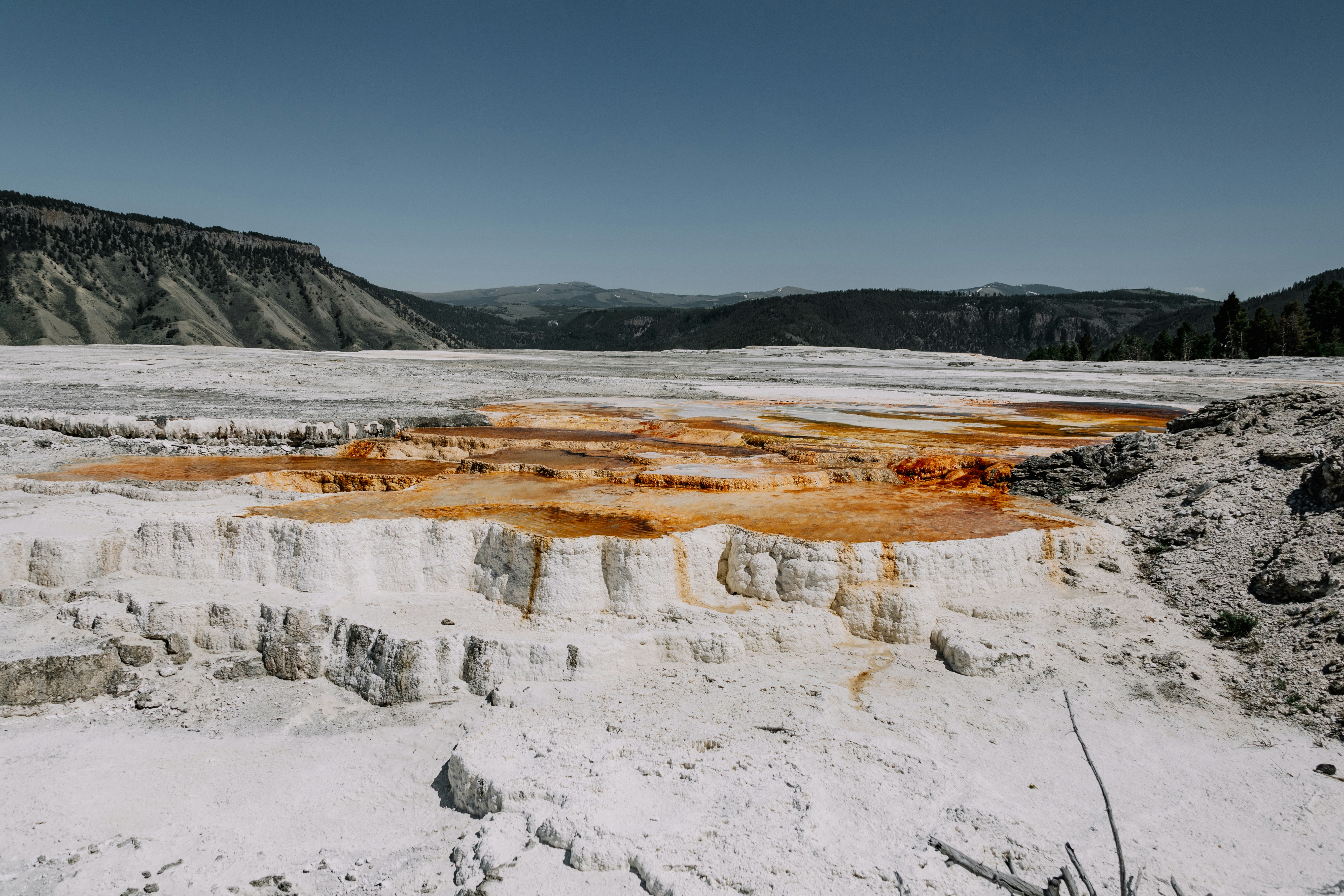 Photo by isaacmartin