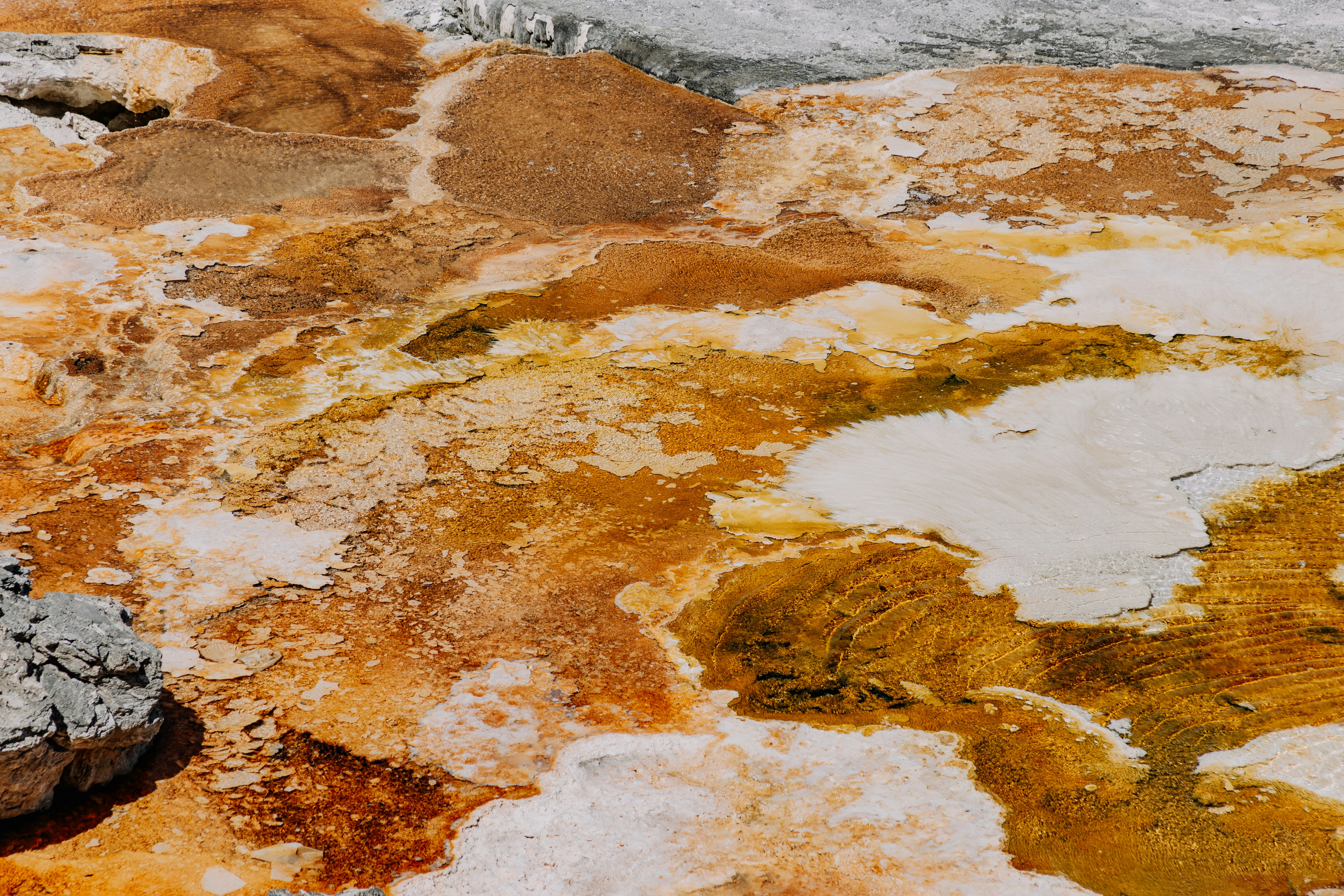 Photo by isaacmartin