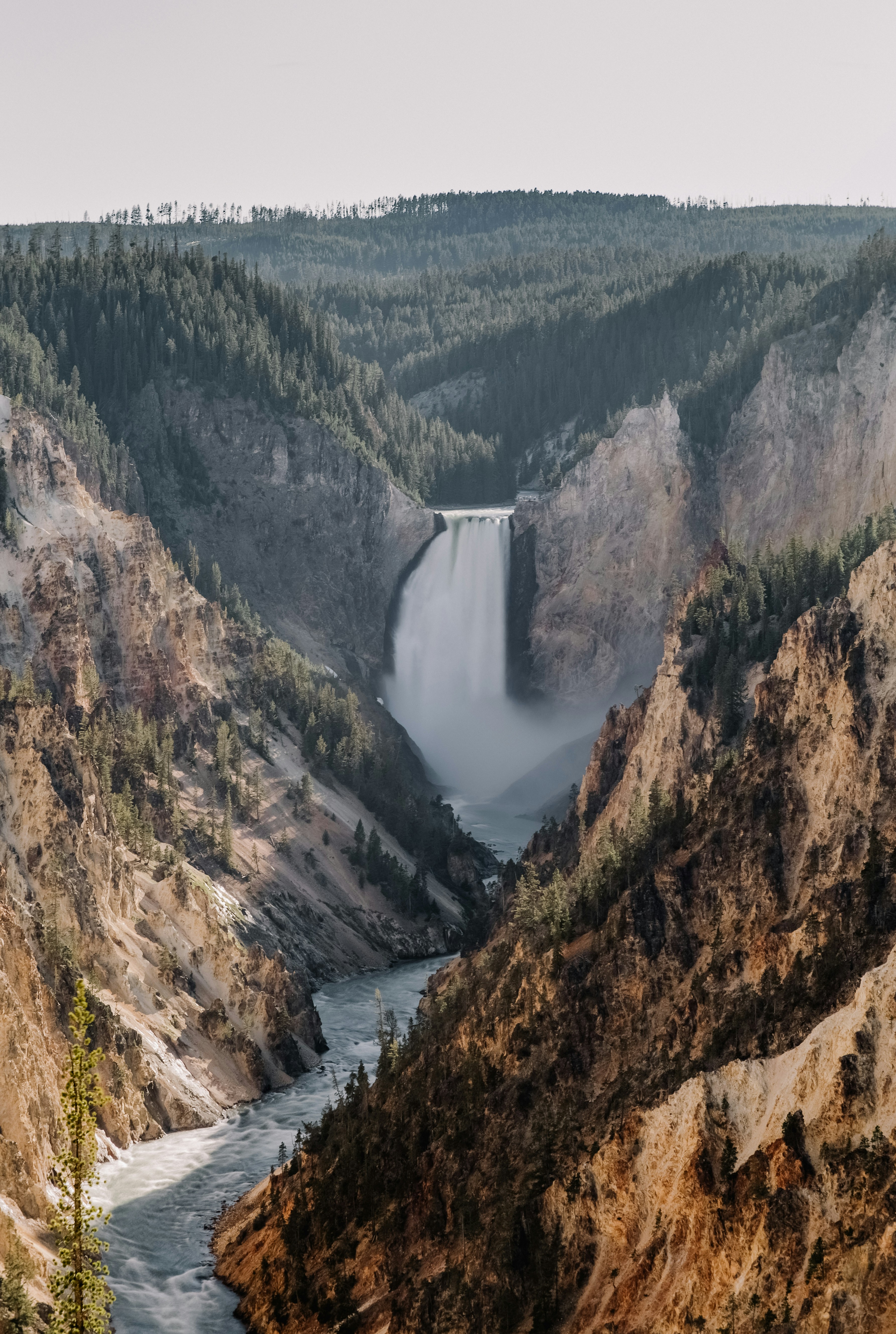 Photo by isaacmartin