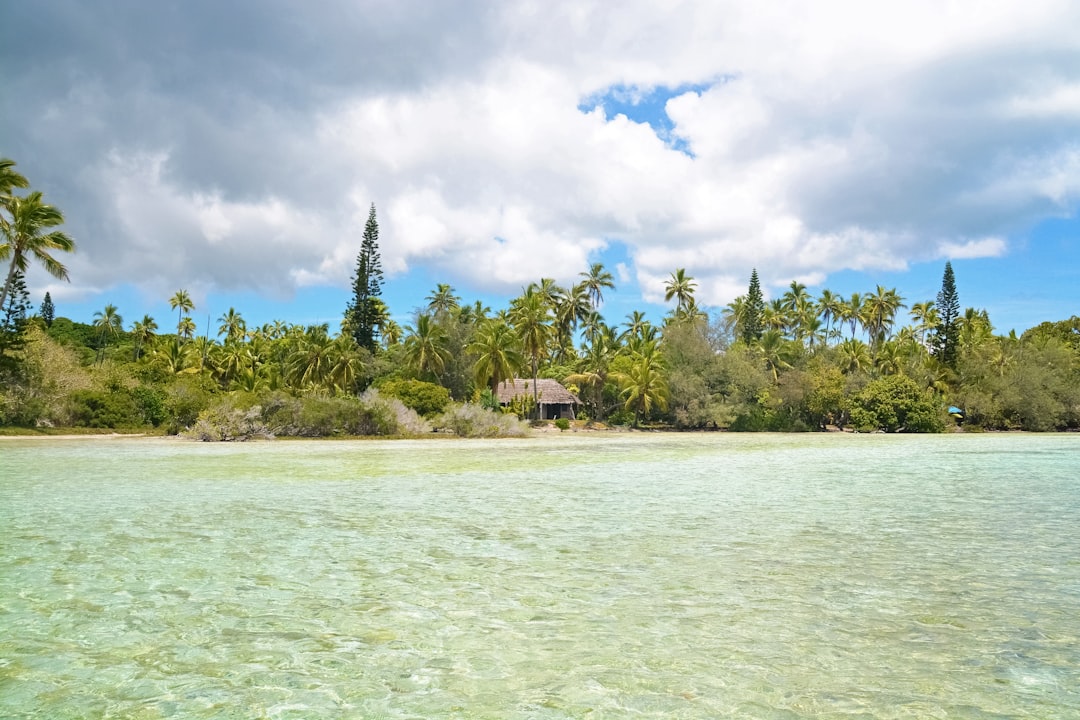 green trees on island surrounded by water under blue sky and white clouds during daytime