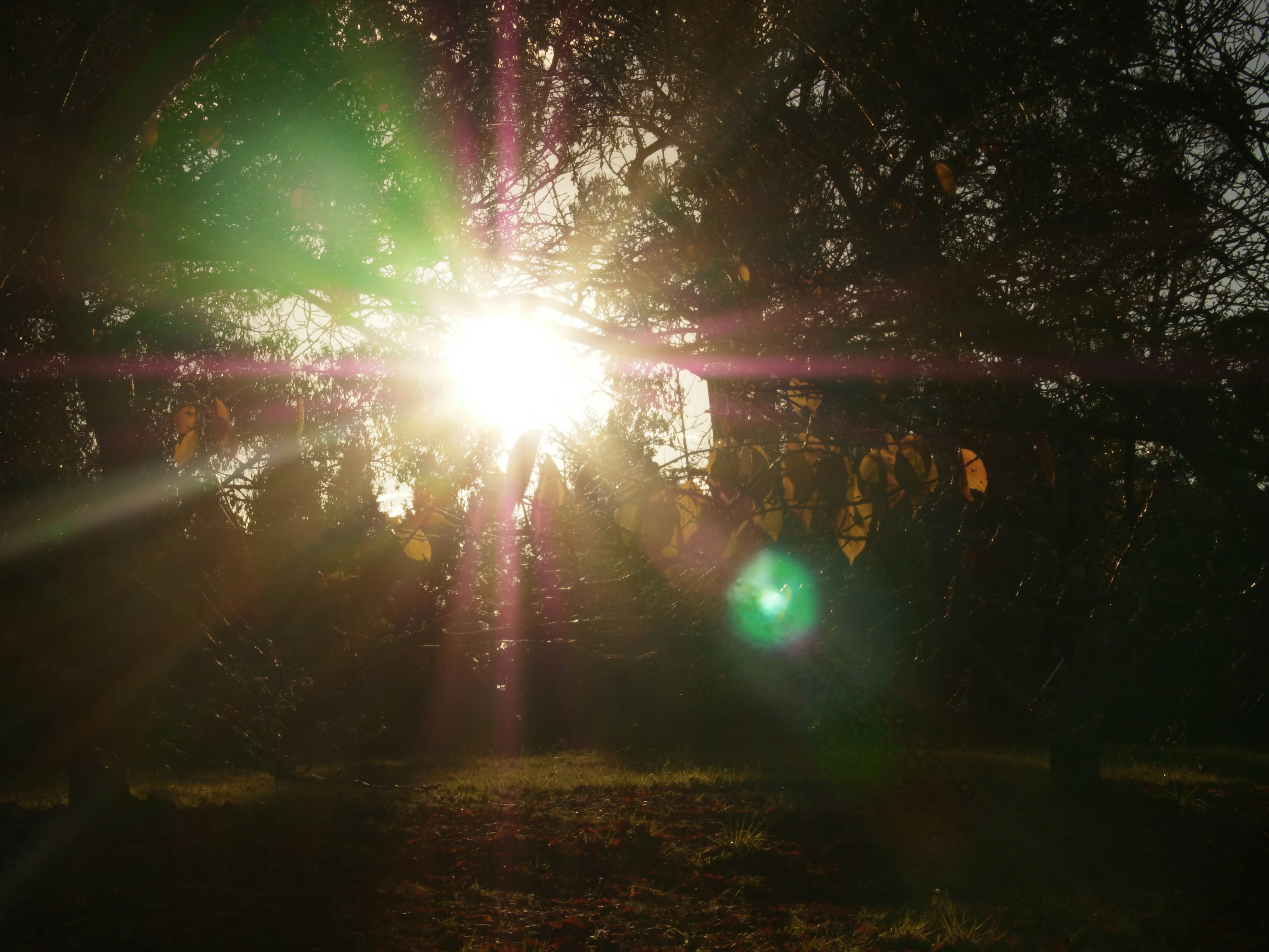 Photo by arnold_zhou