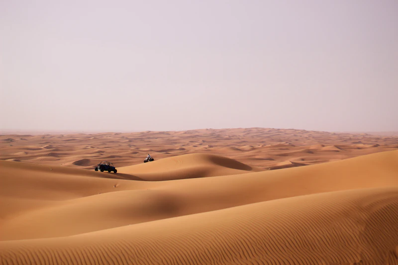 Sandboarding down a desert dune