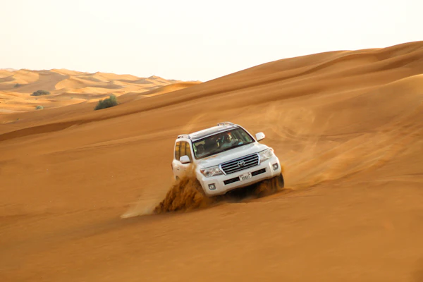 Desert safari