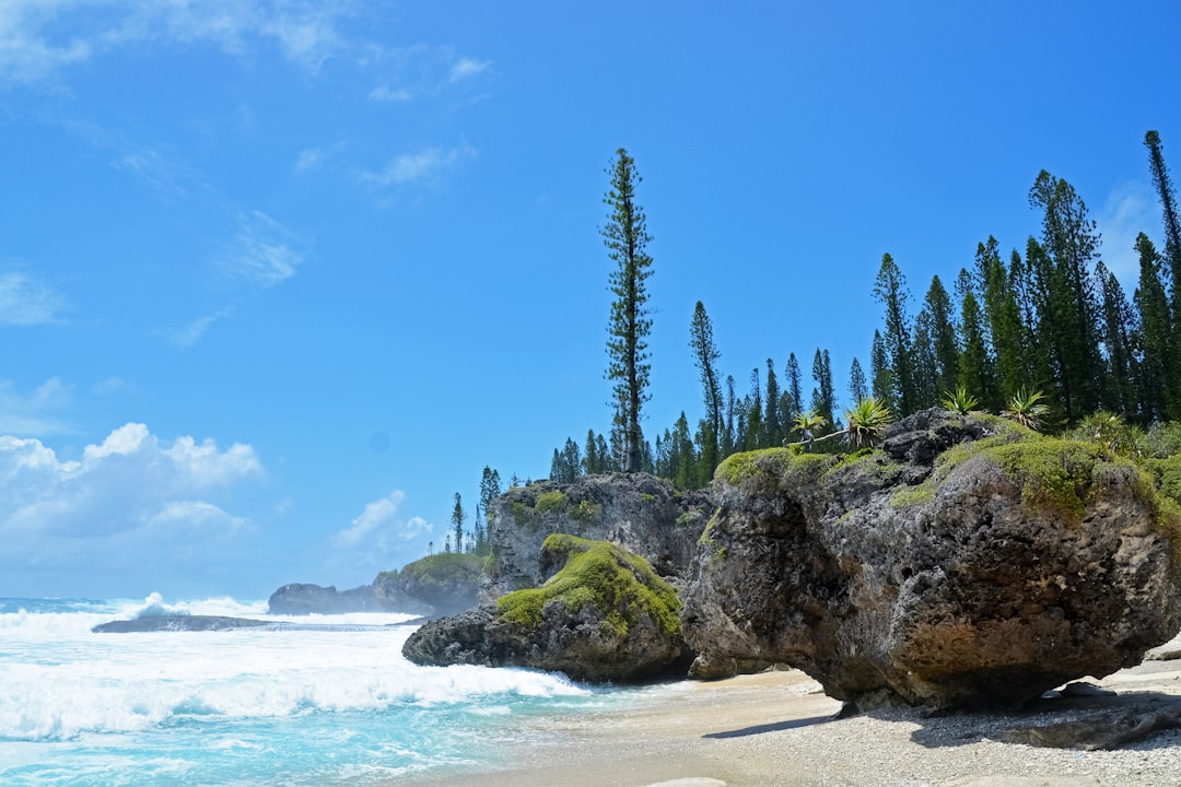 green trees on brown rock formation near sea during daytime