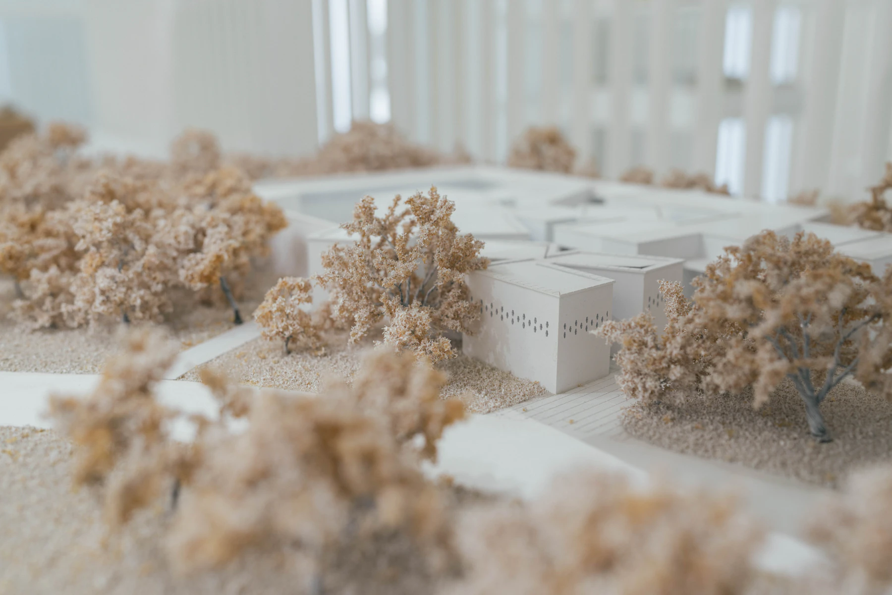 A white model building with rows of small punched windows on a site model, surrounded by tan model trees