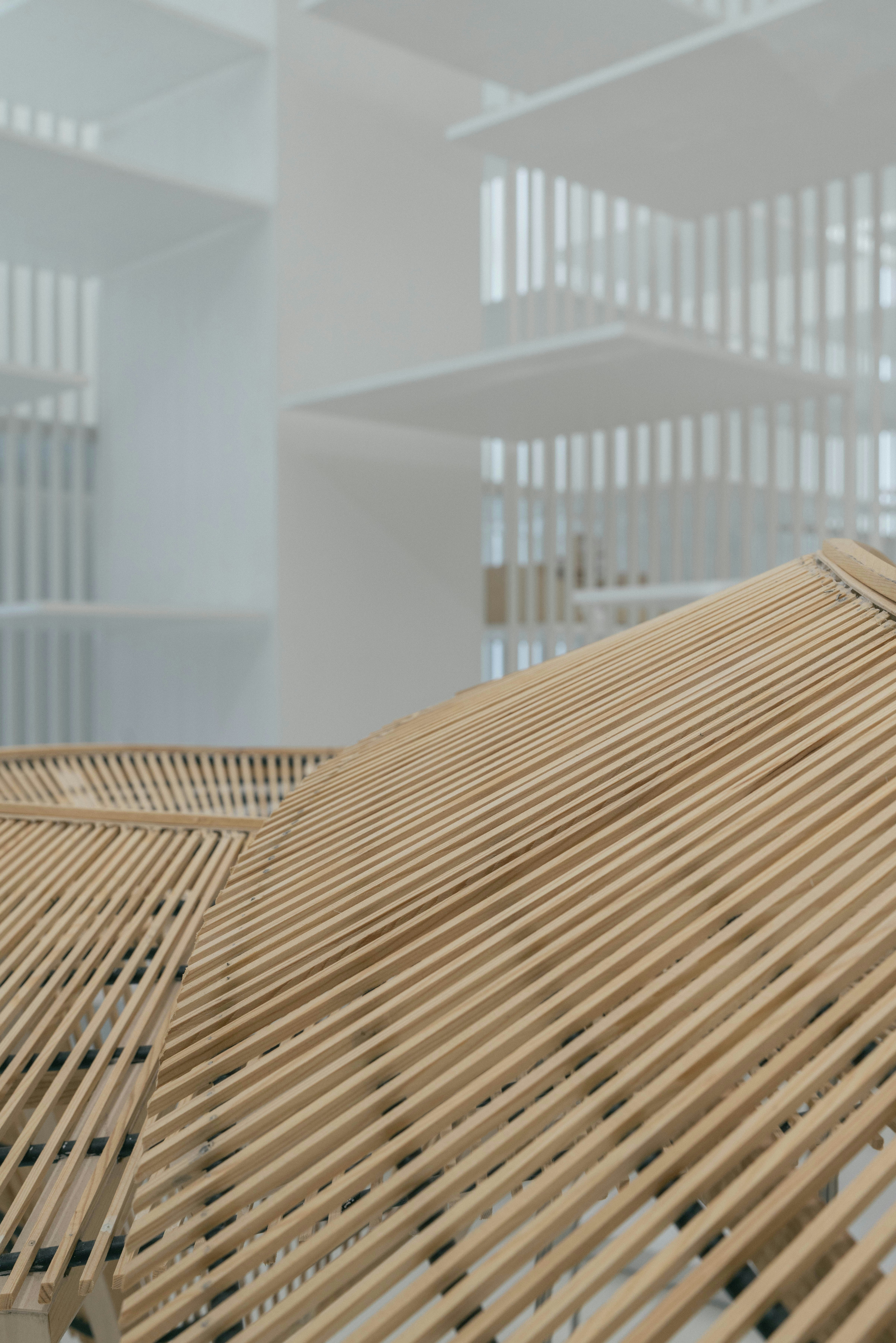 Photo by lorem_ipsuman