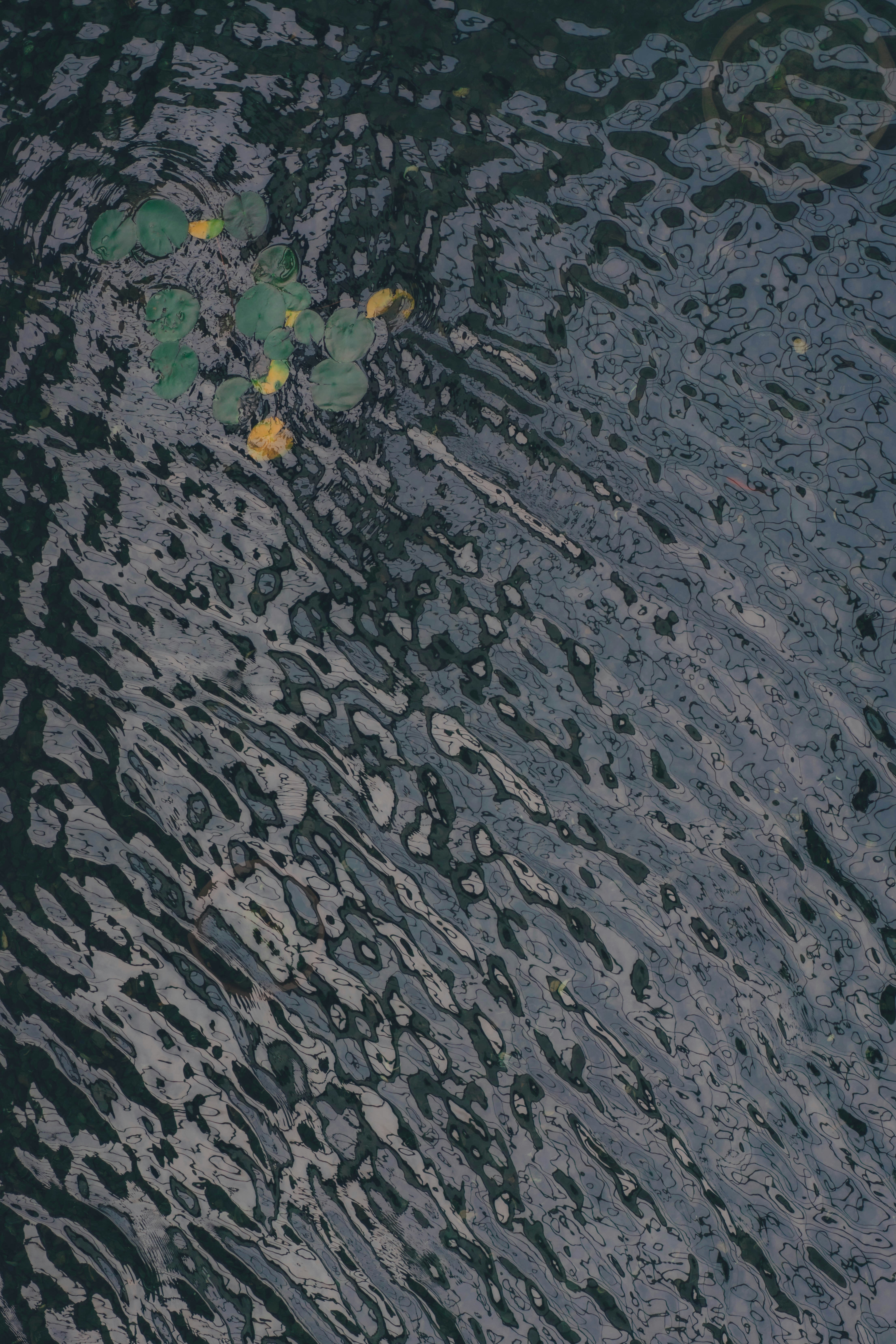 Photo by lorem_ipsuman