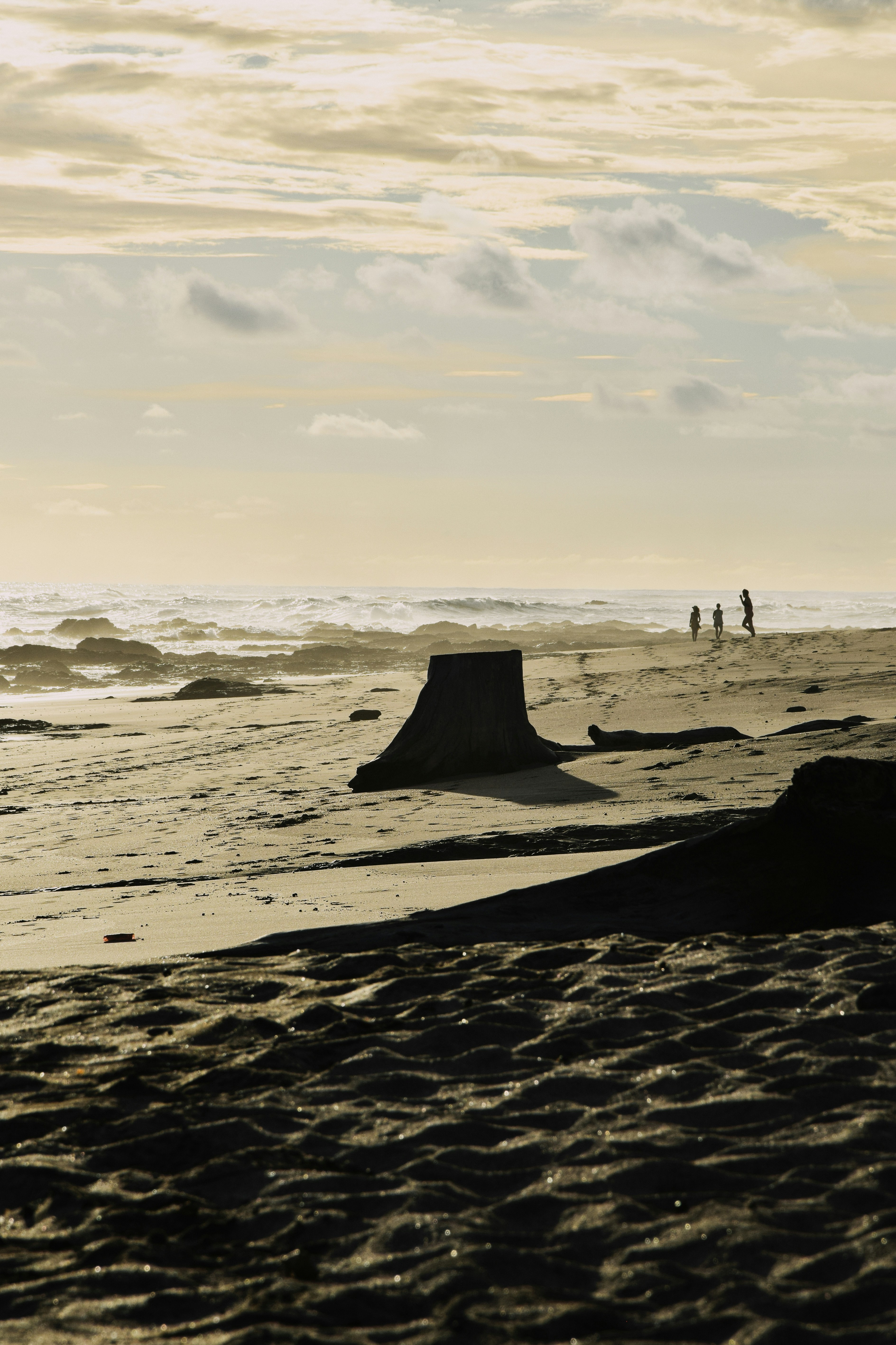 silhouette of people on beach during daytime