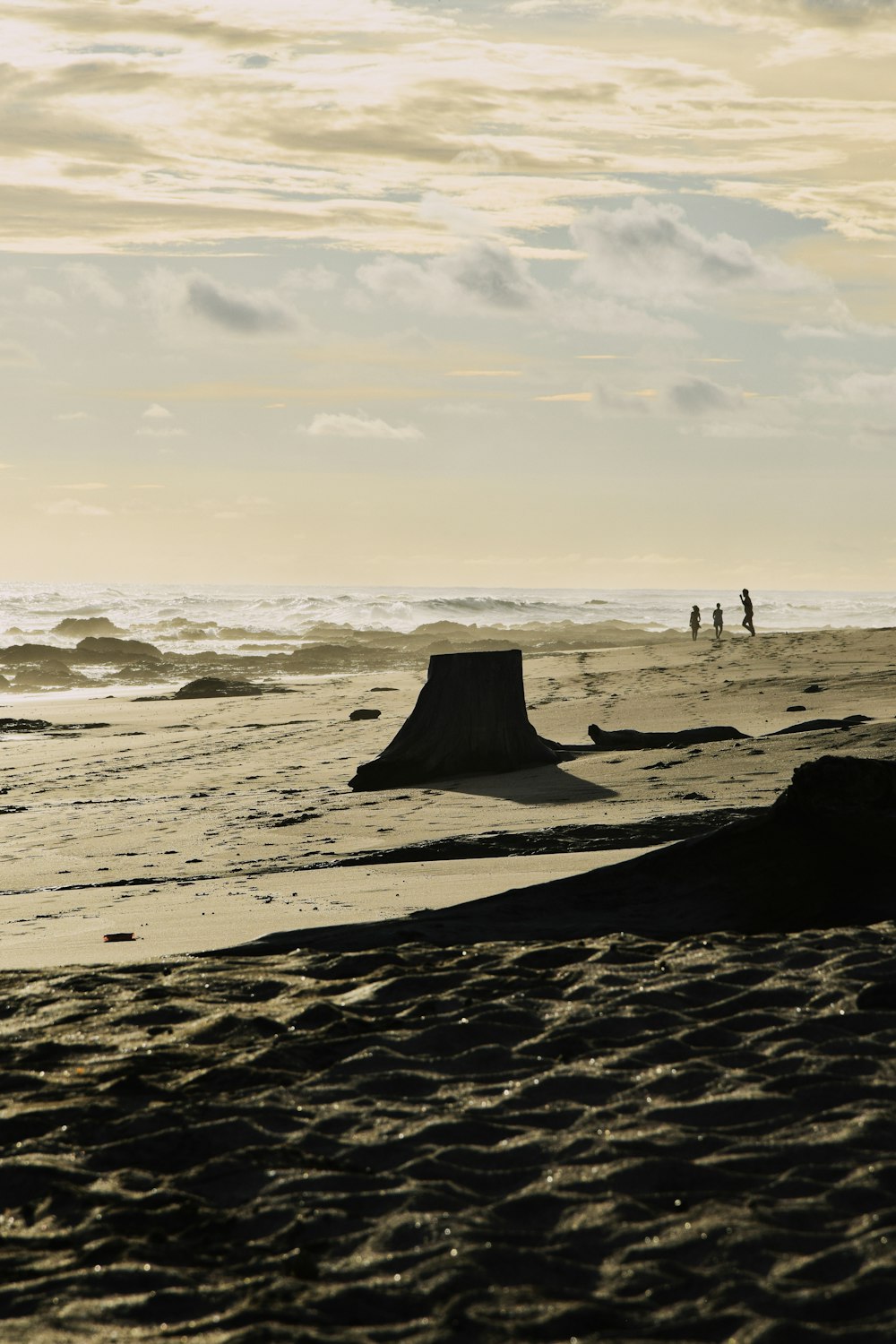 silhouette of people on beach during daytime