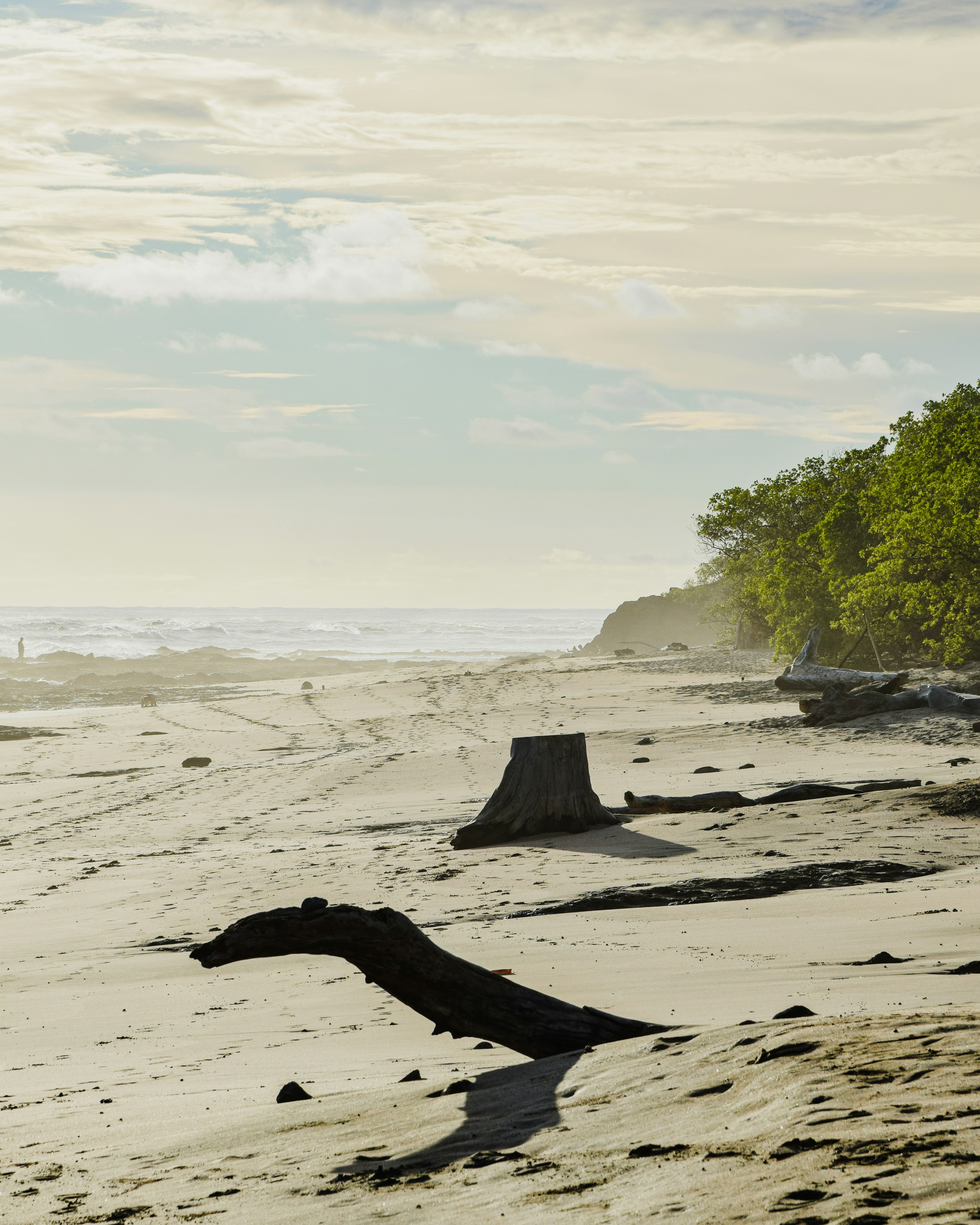 Photo by framesforyourheart