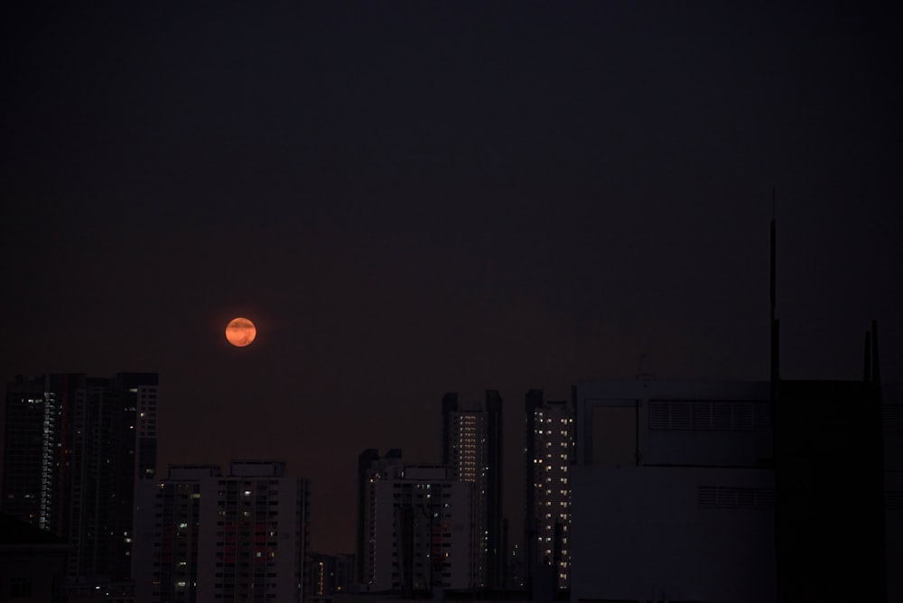 city skyline during night time